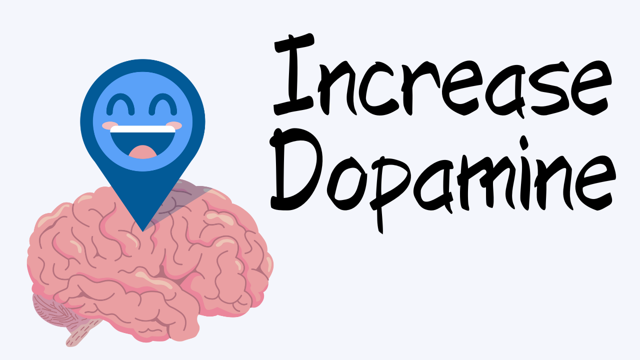 How To Increase Dopamine?
